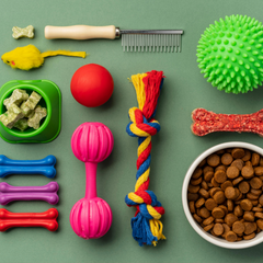 Collection image for: Dierenbenodigdheden