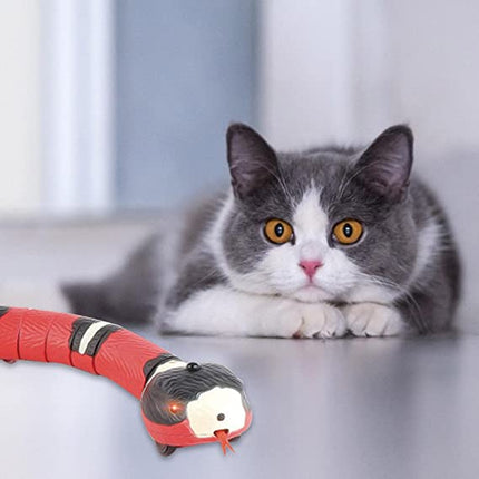 SnakePlay™ Interactief Kattenspeeltje | Realistische slang die jouw kat blijft uitdagen