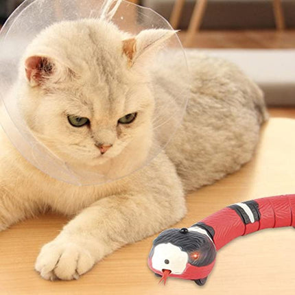 SnakePlay™ Interactief Kattenspeeltje | Realistische slang die jouw kat blijft uitdagen