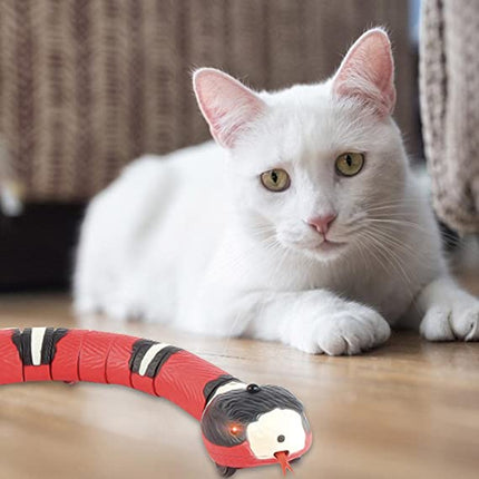 SnakePlay™ Interactief Kattenspeeltje | Realistische slang die jouw kat blijft uitdagen