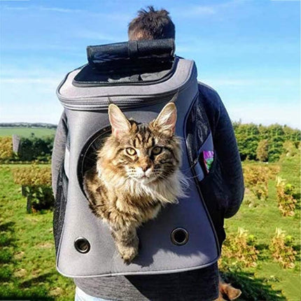TravelPaws™ Draagrugzak | Neem je huisdier veilig en comfortabel overal mee naartoe