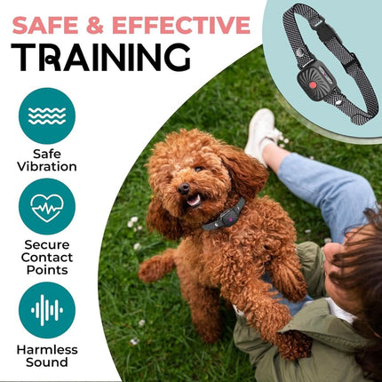 BarkCalm Mini™ Antiblafhalsband | Rustige training zonder stress of schokken