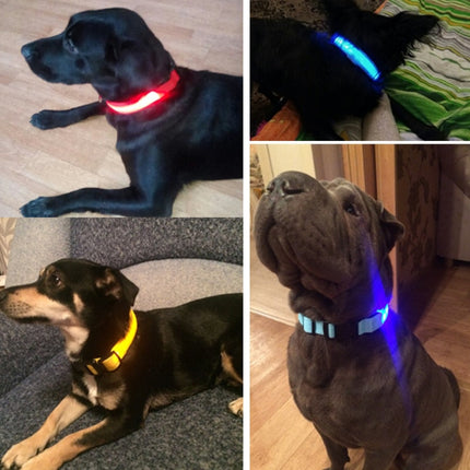GlowSafe™ LED Hondenhalsband | Maximale zichtbaarheid en veiligheid in het donker