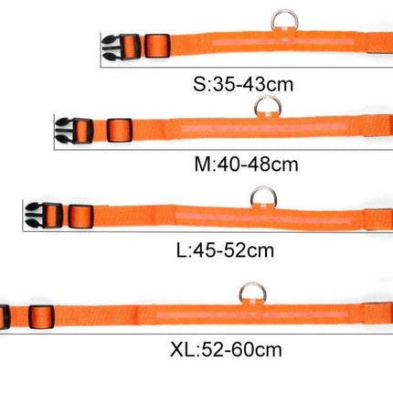 GlowSafe™ LED Hondenhalsband | Maximale zichtbaarheid en veiligheid in het donker