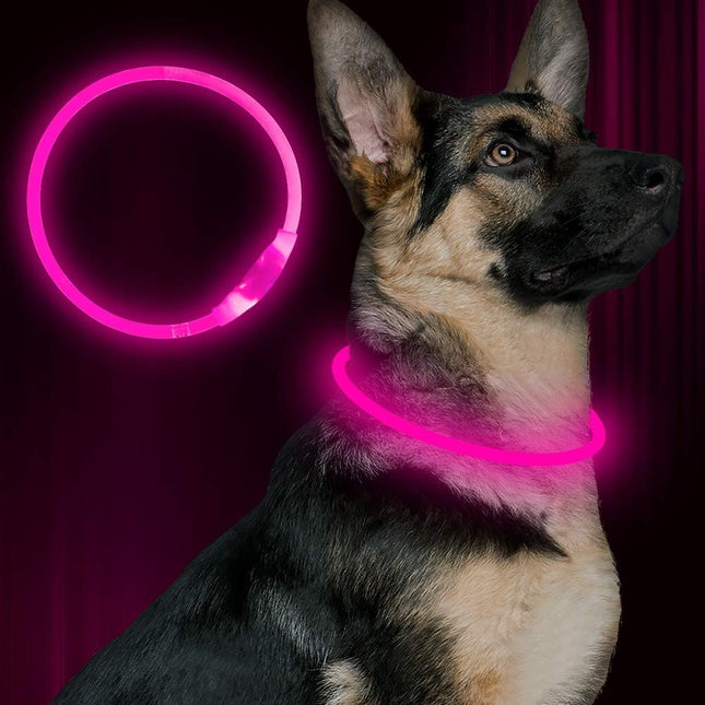 GlowSafe™ LED Halsband | Maximale zichtbaarheid en veiligheid in het donker