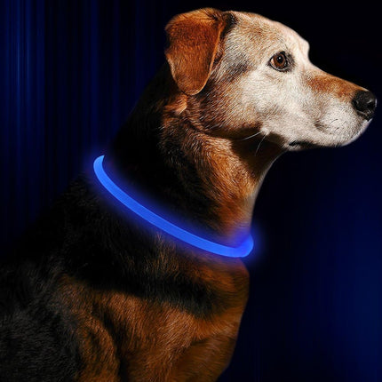 GlowSafe™ LED Halsband | Maximale zichtbaarheid en veiligheid in het donker