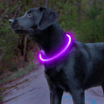 GlowSafe™ LED Halsband | Maximale zichtbaarheid en veiligheid in het donker
