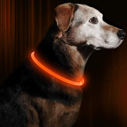 GlowSafe™ LED Halsband | Maximale zichtbaarheid en veiligheid in het donker