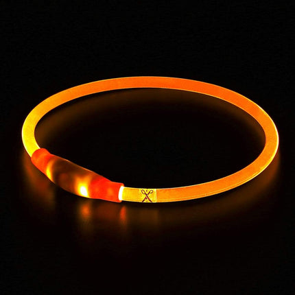 GlowSafe™ LED Halsband | Maximale zichtbaarheid en veiligheid in het donker