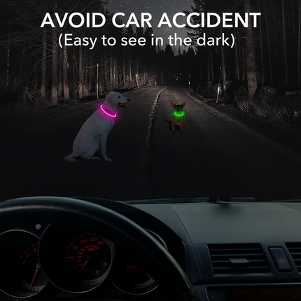 GlowSafe™ LED Halsband | Maximale zichtbaarheid en veiligheid in het donker