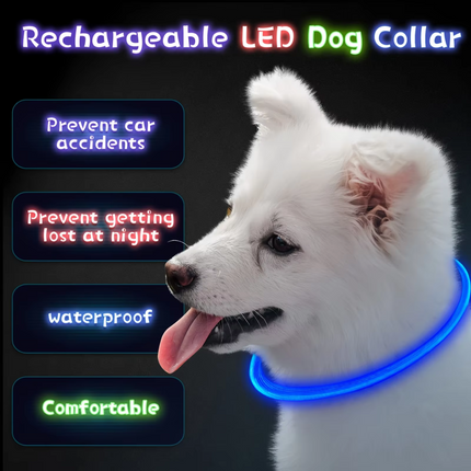 GlowSafe™ LED Halsband | Maximale zichtbaarheid en veiligheid in het donker