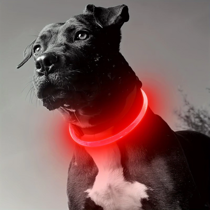GlowSafe™ LED Halsband | Maximale zichtbaarheid en veiligheid in het donker