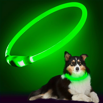 GlowSafe™ LED Halsband | Maximale zichtbaarheid en veiligheid in het donker