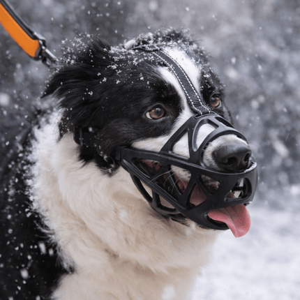 Dogora™ Muilkorf | Comfortabele controle en veilige bewegingsvrijheid voor je hond