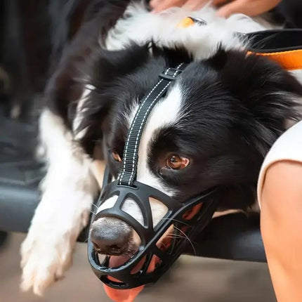 Dogora™ Muilkorf | Comfortabele controle en veilige bewegingsvrijheid voor je hond