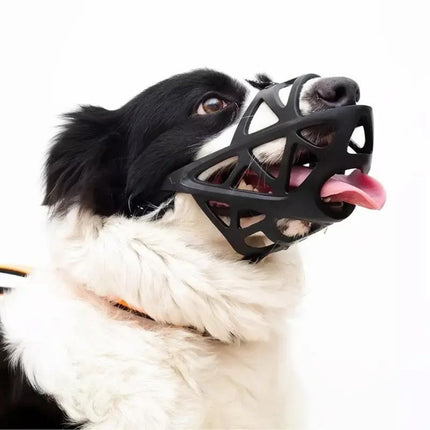 Dogora™ Muilkorf | Comfortabele controle en veilige bewegingsvrijheid voor je hond