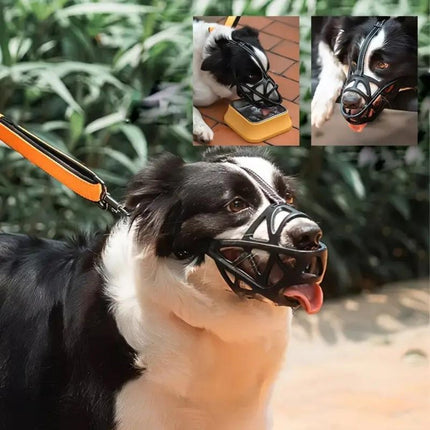Dogora™ Muilkorf | Comfortabele controle en veilige bewegingsvrijheid voor je hond