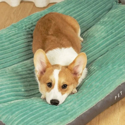 CozyPaws™ Hondenkussen | Ultiem comfort en ondersteuning voor een diepe slaap