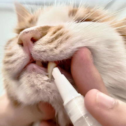 FreshPaws™ Tandenborstelpen voor Huisdieren | Frisse adem en gezonde tanden zonder gedoe