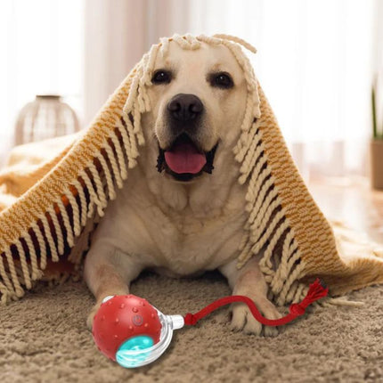 ChewRoll™ Interactieve Hondenspeelgoed Rollende Bal | Actief en betrokken spelen
