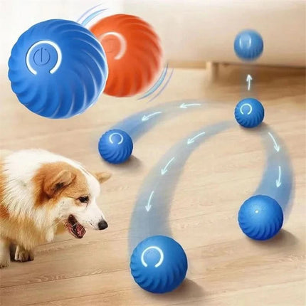 PlayRoll™ Hondenbal | Houd je hond actief en entertained, zelfs als jij druk bent
