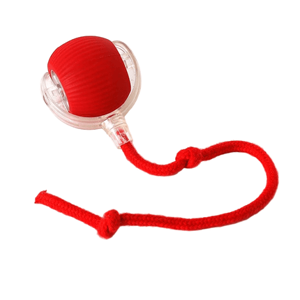 PlayRoll™ Hondenbal | Houd je hond actief en entertained, zelfs als jij druk bent