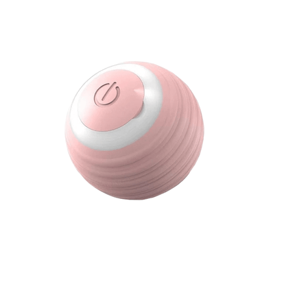 PlayRoll™ Hondenbal | Houd je hond actief en entertained, zelfs als jij druk bent