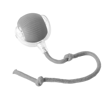 PlayRoll™ Hondenbal | Houd je hond actief en entertained, zelfs als jij druk bent