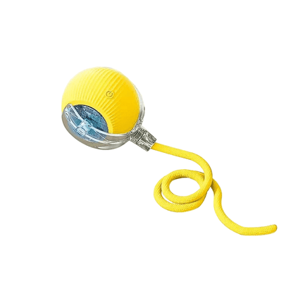 PlayRoll™ Hondenbal | Houd je hond actief en entertained, zelfs als jij druk bent