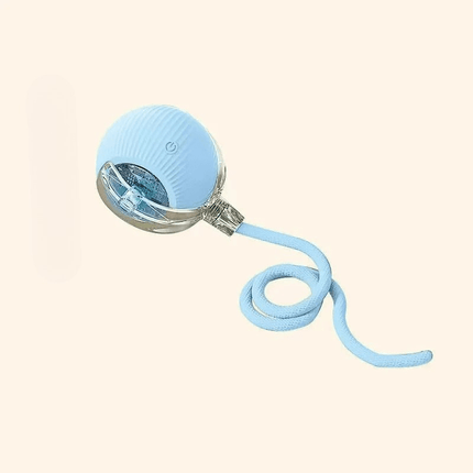 PlayRoll™ Hondenbal | Houd je hond actief en entertained, zelfs als jij druk bent
