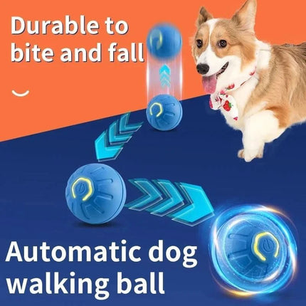 PlayRoll™ Hondenbal | Houd je hond actief en entertained, zelfs als jij druk bent