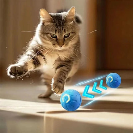 PlayRoll™ Hondenbal | Houd je hond actief en entertained, zelfs als jij druk bent