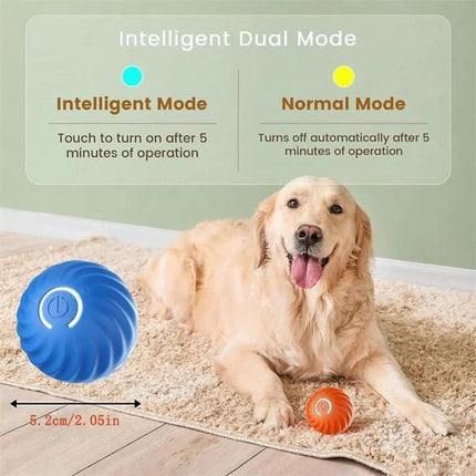 PlayRoll™ Hondenbal | Houd je hond actief en entertained, zelfs als jij druk bent