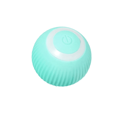 PlayRoll™ Hondenbal | Houd je hond actief en entertained, zelfs als jij druk bent