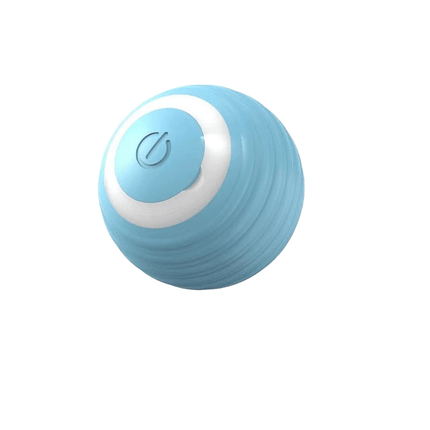 PlayRoll™ Hondenbal | Houd je hond actief en entertained, zelfs als jij druk bent