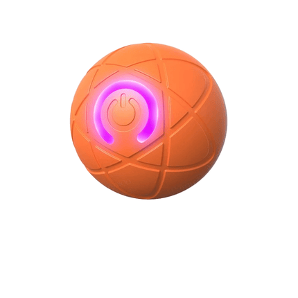 PlayRoll™ Hondenbal | Houd je hond actief en entertained, zelfs als jij druk bent