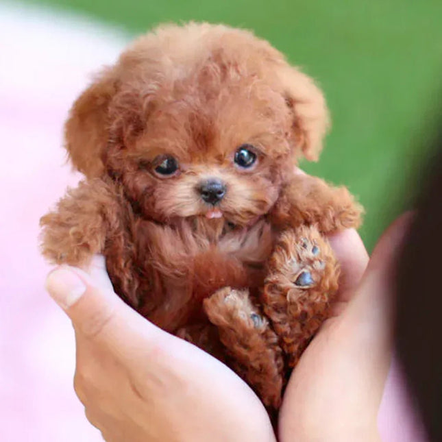 CuddlePup™ Interactieve Pluchen Hond | Levensechte speelkameraad voor kinderen en senioren