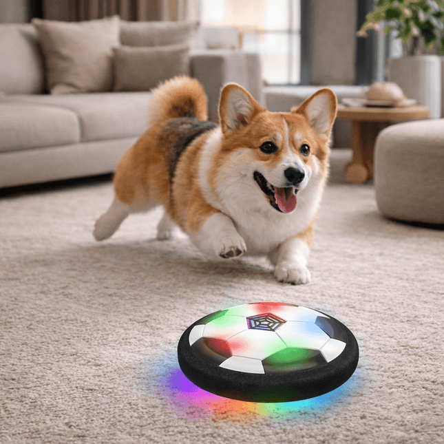 ChaseSpark™ Speelbal | Houd je hond actief, scherp en eindeloos bezig
