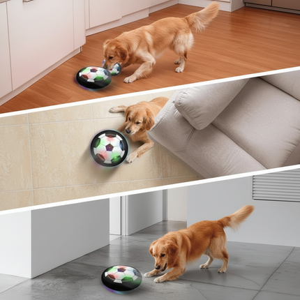 ChaseSpark™ Speelbal | Houd je hond actief, scherp en eindeloos bezig