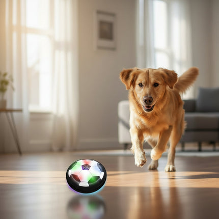 ChaseSpark™ Speelbal | Houd je hond actief, scherp en eindeloos bezig