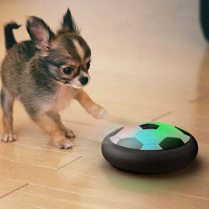 ChaseSpark™ Speelbal | Houd je hond actief, scherp en eindeloos bezig