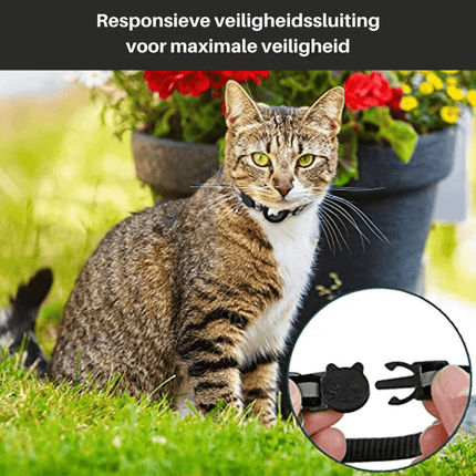 CatSafe Track™ GPS Halsband | Meer veiligheid en zichtbaarheid voor avontuurlijke katten