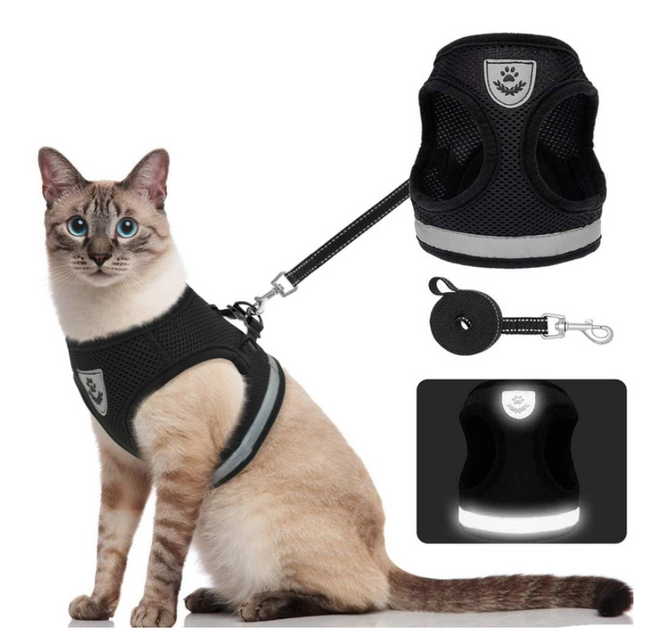 AdventureKit™ Katten Tuigje | Veilig en comfortabel samen op avontuur zonder ontsnappen