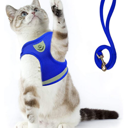 AdventureKit™ Katten Tuigje | Veilig en comfortabel samen op avontuur zonder ontsnappen
