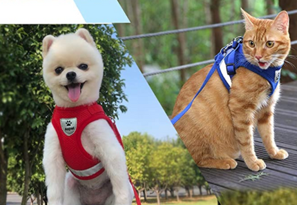 AdventureKit™ Katten Tuigje | Veilig en comfortabel samen op avontuur zonder ontsnappen