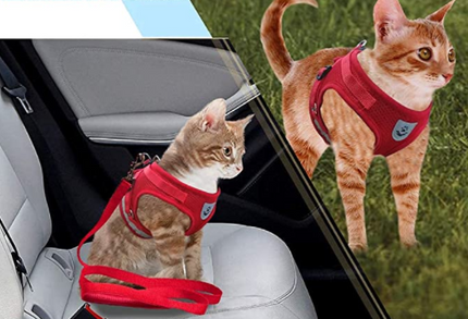 AdventureKit™ Katten Tuigje | Veilig en comfortabel samen op avontuur zonder ontsnappen