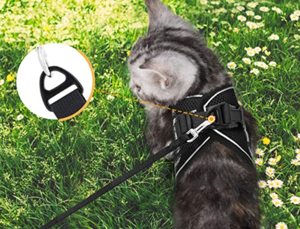 AdventureKit™ Katten Tuigje | Veilig en comfortabel samen op avontuur zonder ontsnappen