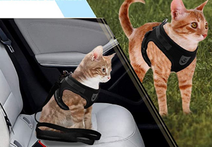 AdventureKit™ Katten Tuigje | Veilig en comfortabel samen op avontuur zonder ontsnappen