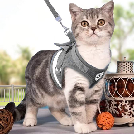 AdventureKit™ Katten Tuigje | Veilig en comfortabel samen op avontuur zonder ontsnappen