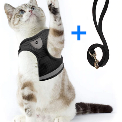 AdventureKit™ Katten Tuigje | Veilig en comfortabel samen op avontuur zonder ontsnappen